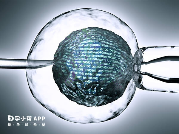 试管成功率受女性年龄等因素影响而变化