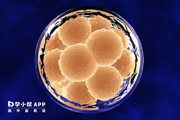 移植第六天肚子痛可能是移植失败