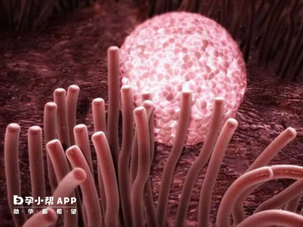 在试管婴儿建档之后尽量避免换医院