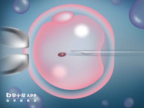 单身女性在中国不能做试管婴儿