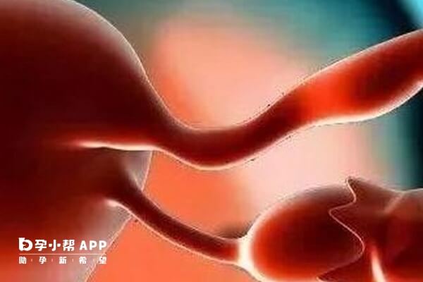 次全切和全切的区别在于是否保留子宫颈