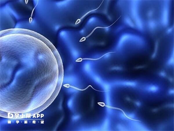 二代试管无法筛选胚胎