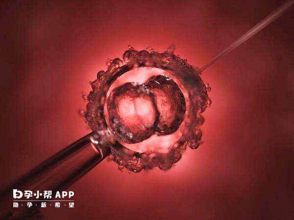 改良长方案主要适用于卵巢功能轻度减退者