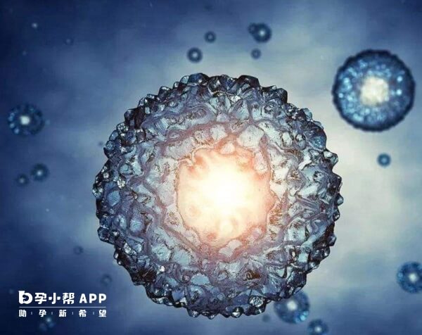 试管婴儿多胎率较高