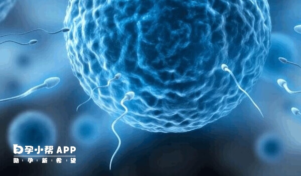 自然周期获卵数量比较少