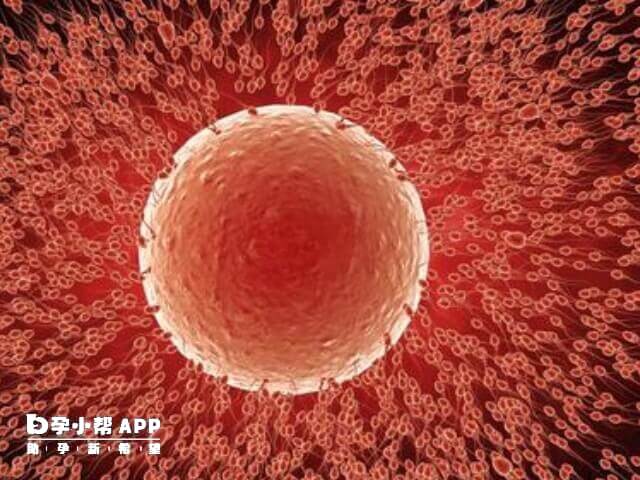 试管夫妻双方都有提供精子和卵子