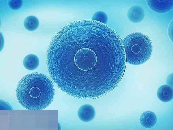 囊胚冷冻费是指对囊胚冷冻的技术费用