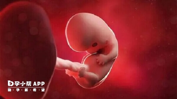 胎儿和孕妇不太受艾泽影响