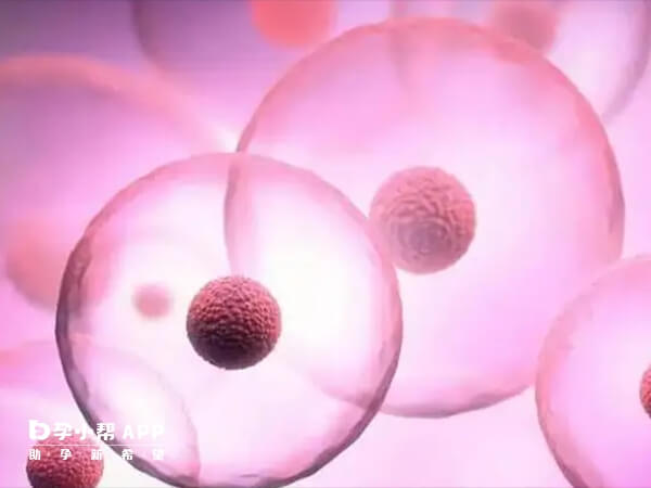 常规促排卵周期建议冲洗次数≤3次