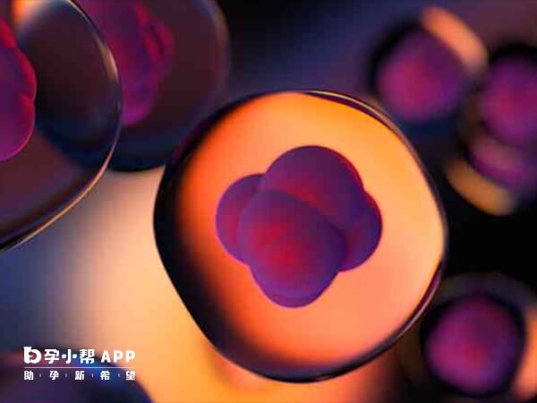 同卵双胞胎的概率约为4/1000