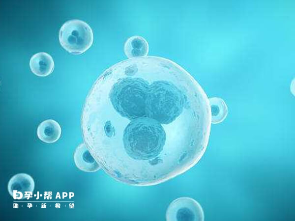 微刺激方案每次取卵数量较少