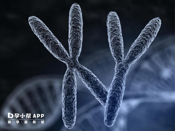 肺结核是一种比较常见的传染性的疾病