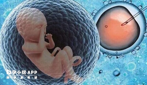 怀孕12周胚胎才稳定