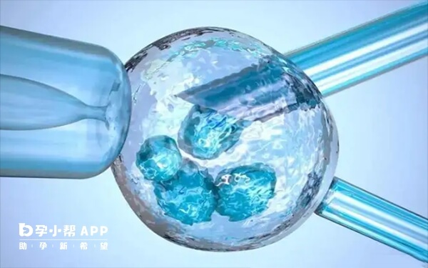 胎停等待1-2个月经就可以进行冷冻胚胎移植了