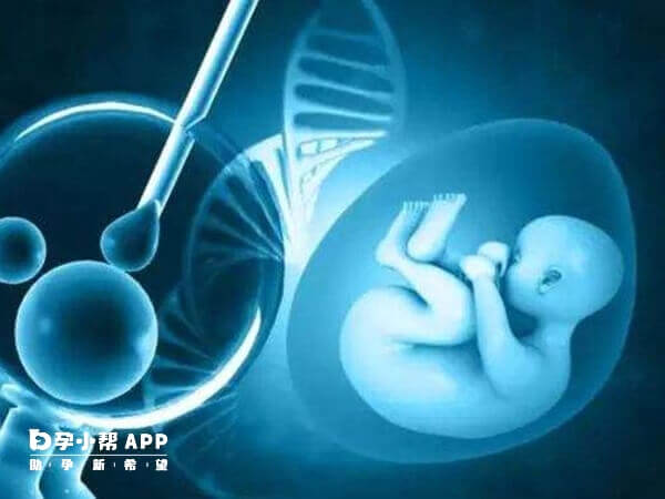 试管建档后是否换医生需权衡治疗成本