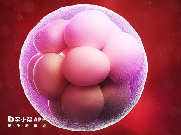 胚胎不卵裂是一种少见的胚胎发育异常