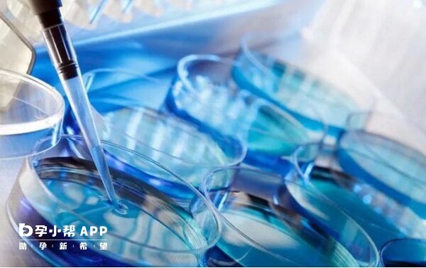 注射手法操作不当可能会造成美诺孕的污染