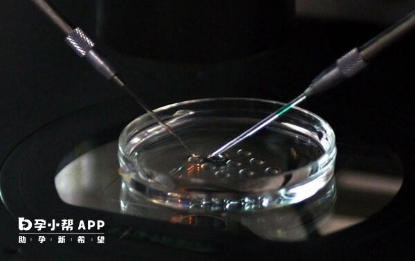 7C1胚胎还能继续培养成囊胚