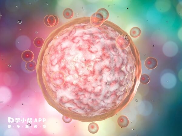 试管婴儿长方案的成功率受多种因素影响