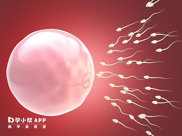 国外试管前了解其法律对于单身女性助孕很重要