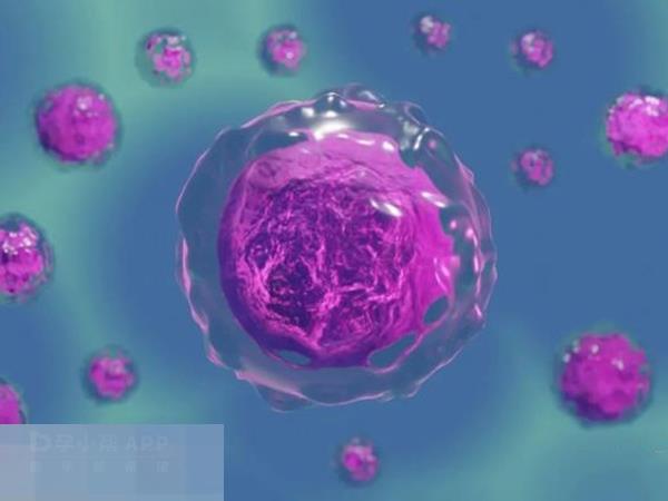 胚胎质量的好坏与未来孩子健康没有直接关系