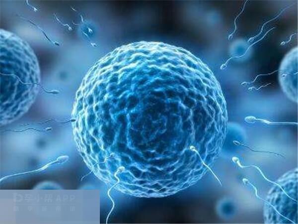 三代试管养囊成功率高