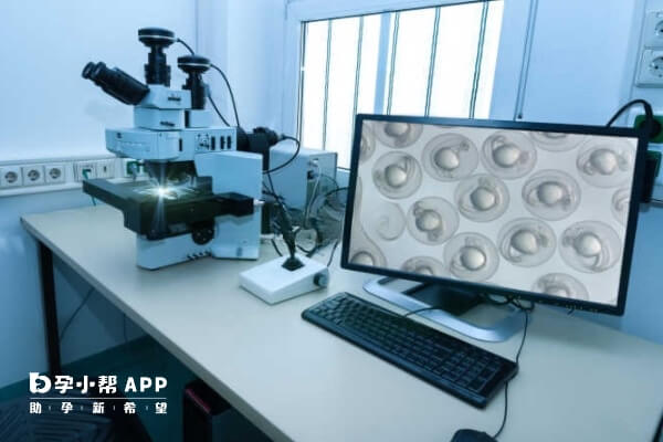 去海外做试管要当心骗局