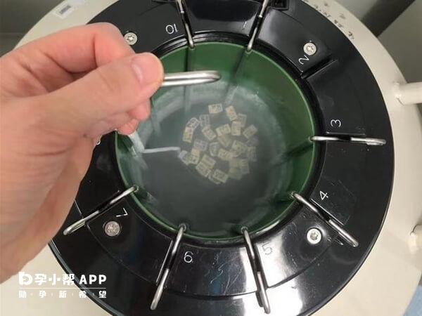 卵子被保存在零下196℃的液氮中