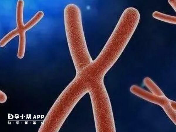 试管4次未成功要进行更深入的检查