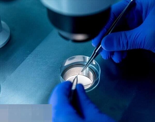 医院最常推荐的冻胚移植方案