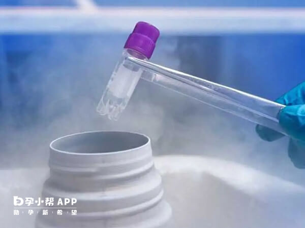 上海冷冻精子收费标准有因医院而异