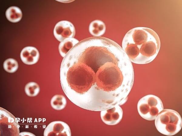 长方案取卵的质量还是比较好的