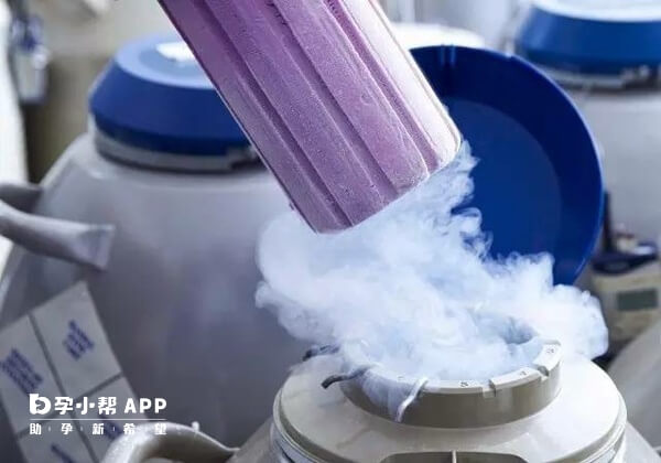 胚胎冷冻的首期费用属于不可退款项