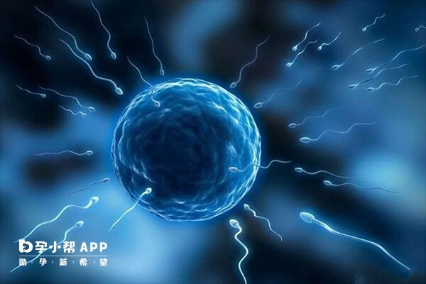 IVF的成功率约为40%-50%