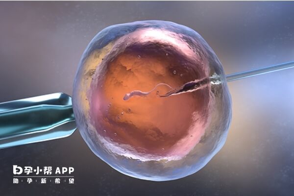 美国整体活产率约45.6%