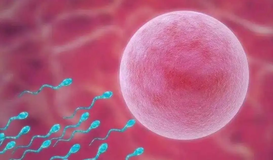 广州做三代试管可以包生男孩的医院有哪些?