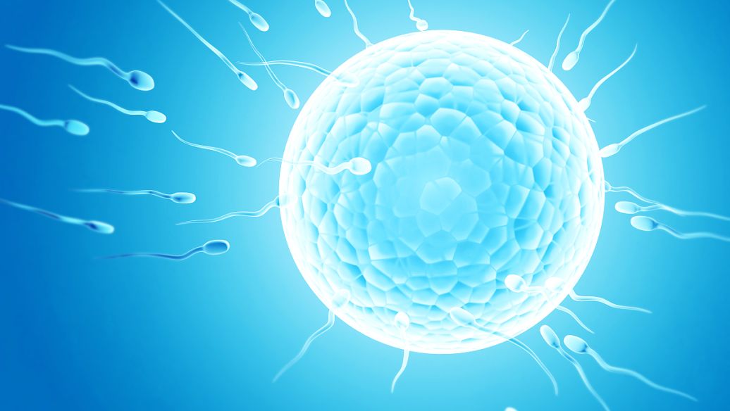 北京哪个医院做三代试管婴儿可以包成功？这