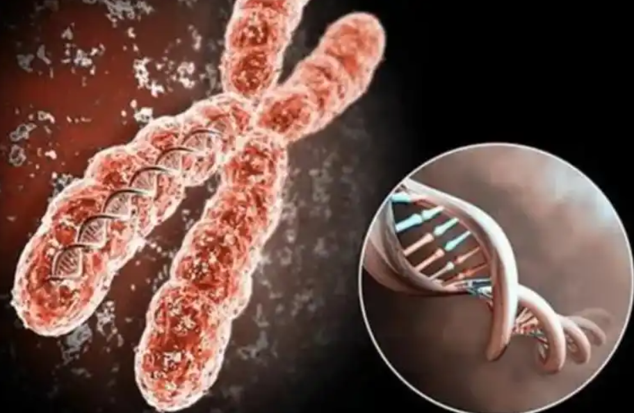 未婚男性可以在广州私立机构借卵做试管吗？