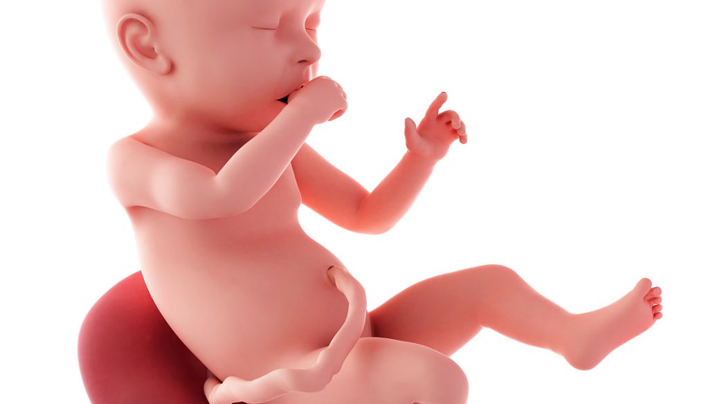 高龄在深圳做供卵三代试管大概需要多少钱？