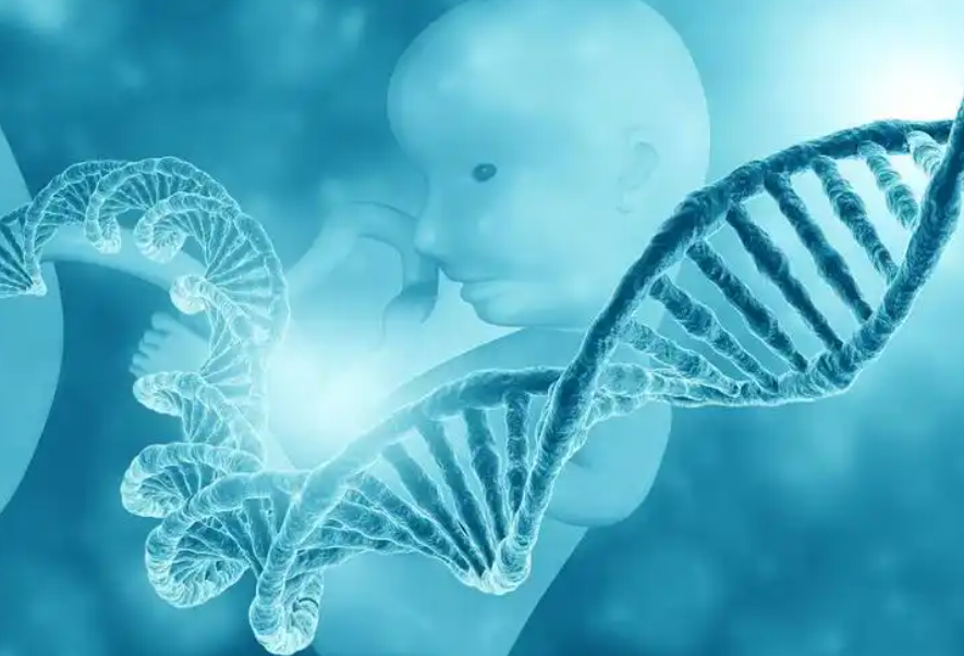 广州哪家私立医院可以做供卵三代试管婴儿？