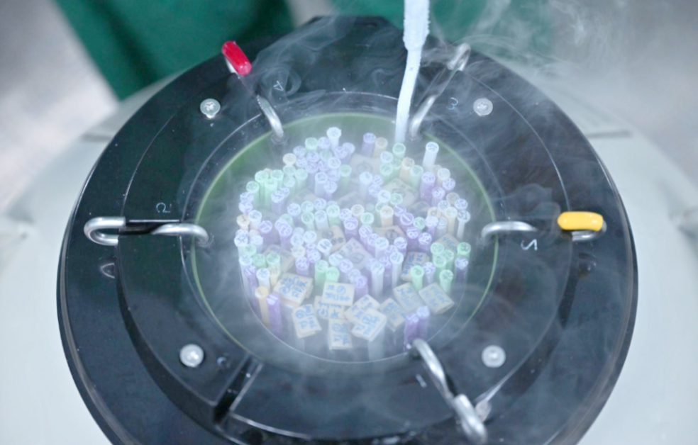 广州哪里做三代试管婴儿可以选男女的？