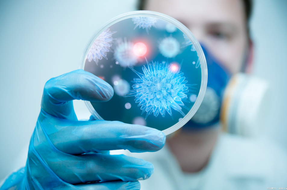 55岁做三代试管成功几率有多少？