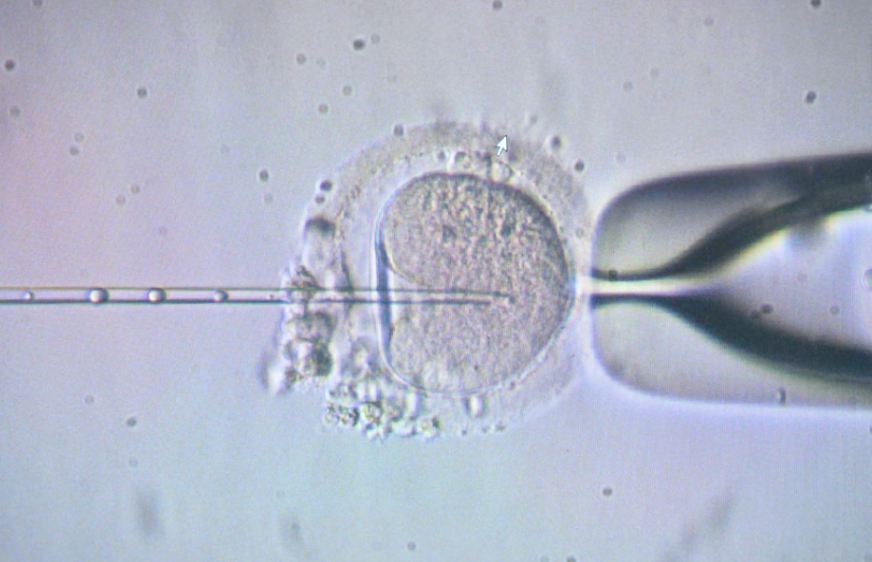 2026广州试管成功率高的医院前三名单公布，平