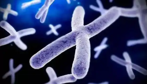 2026年长沙有名助孕机构有哪家？内附三代试管