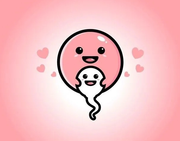 在广州的私人机构做三代试管婴儿靠谱的吗？