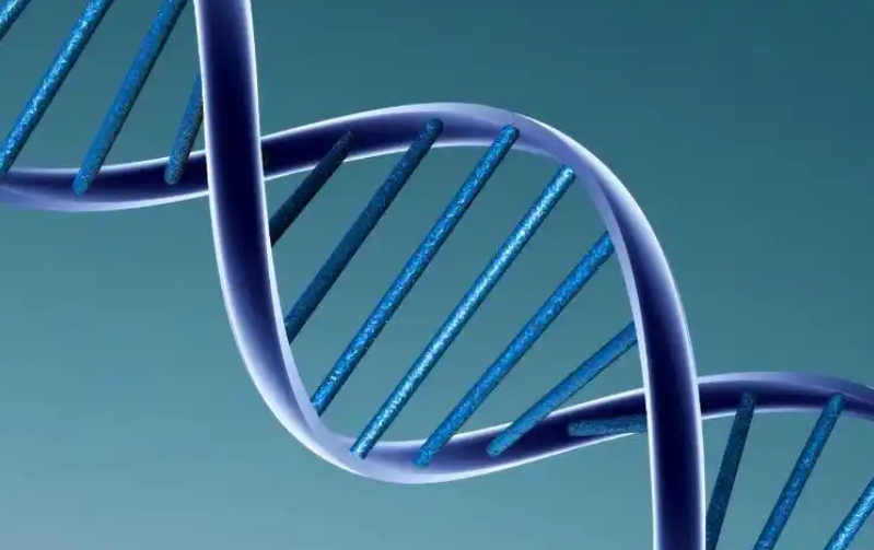 2026年北京哪个医院做试管成功率高？