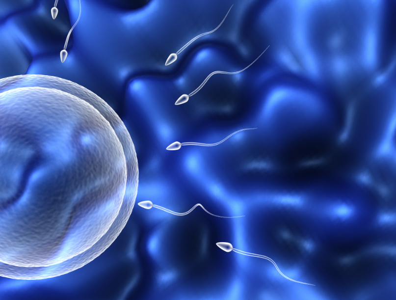 卵巢早衰做试管婴儿成功率怎么样？内附私立供