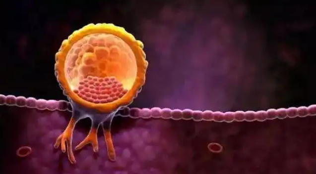 广州诺芽生殖中心做三代试管婴儿成功率怎么样？