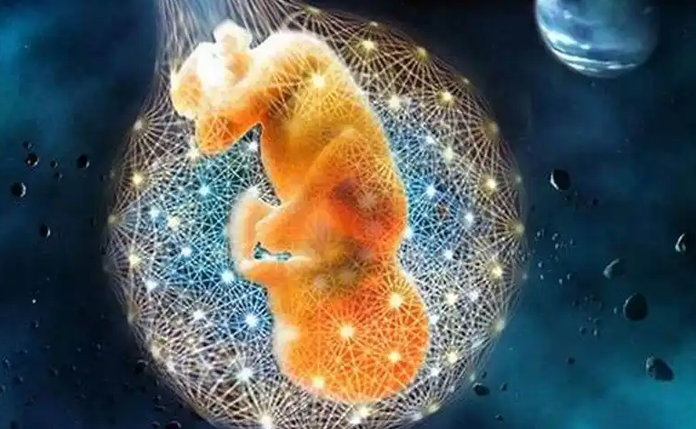 少精弱精症在广州做三代试管婴儿成功率高吗